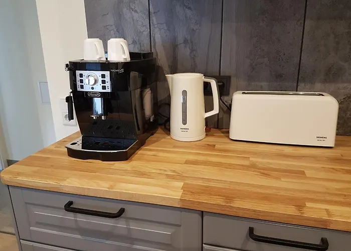 Rose By Interhome * Fritzlar